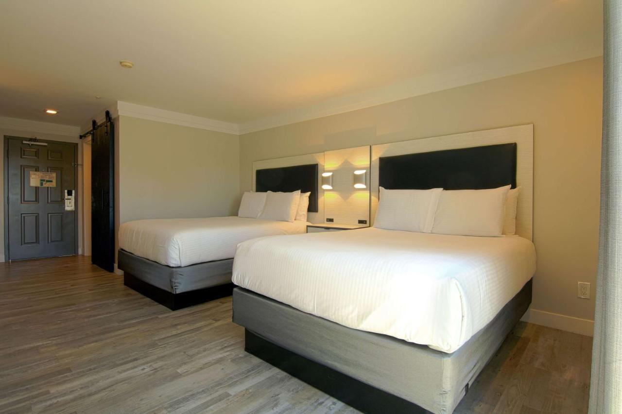 Art Hotel Laguna Beach Eksteriør billede