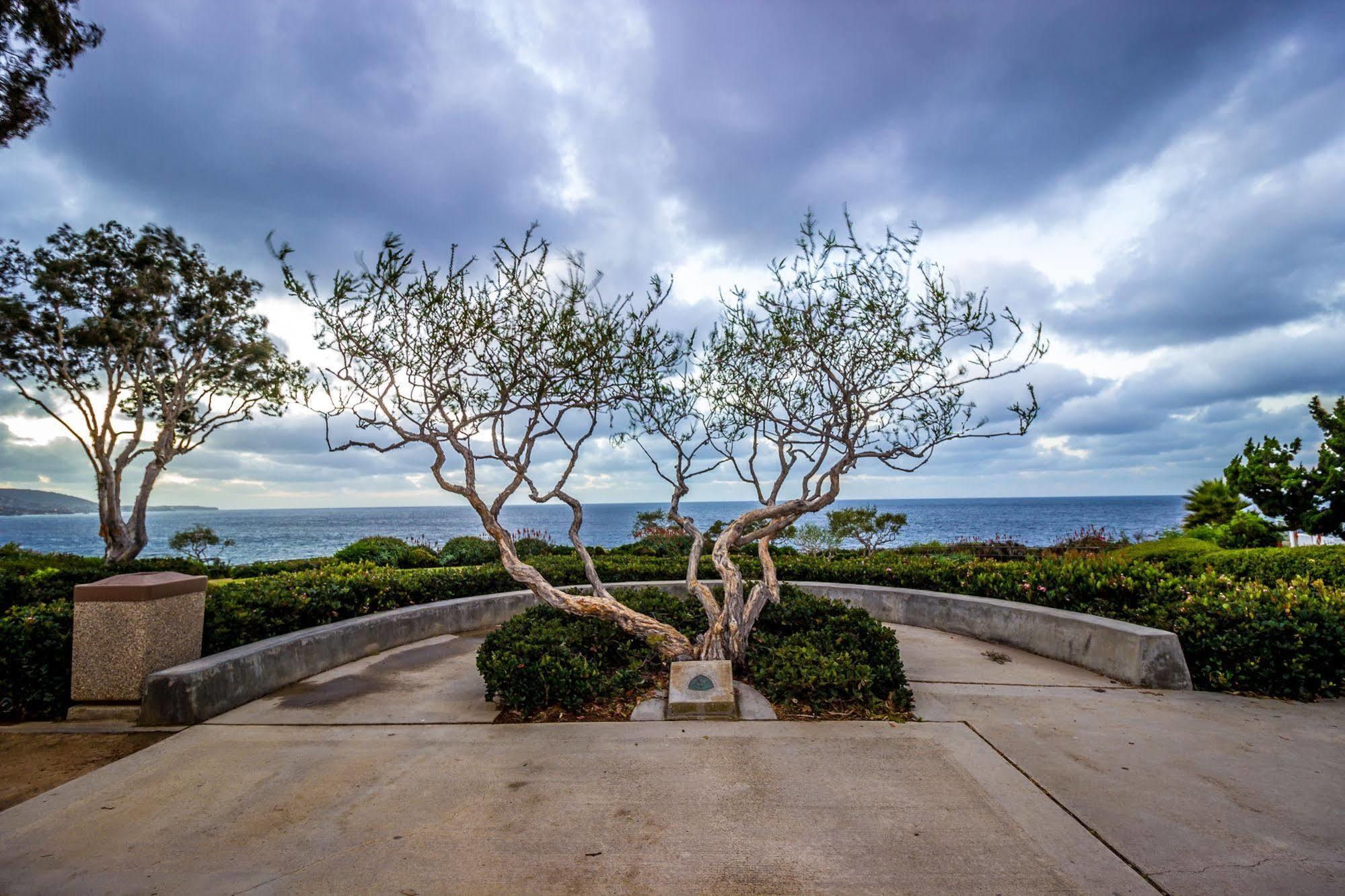 Art Hotel Laguna Beach Eksteriør billede