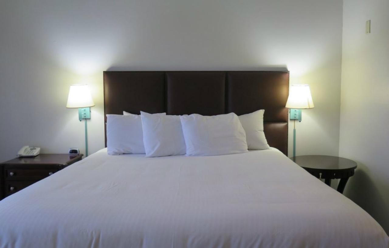Art Hotel Laguna Beach Eksteriør billede